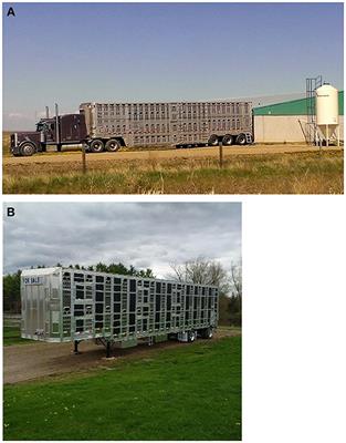 A Review of Swine Transportation Research on Priority Welfare Issues: A Canadian Perspective